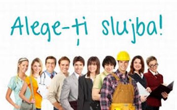 Peste 350 de locuri de …