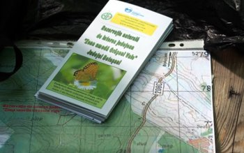 La „Valea cu fluturi” – …