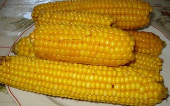 Beneficiile consumului de porumb fiert