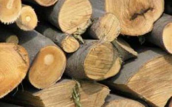 Material lemnos confiscat de polițiștii …