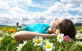 Cod galben de caniculă şi …