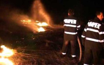 Tone de furaje distruse de …