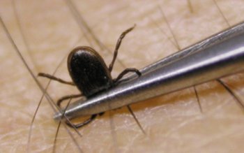 Militar de 24 de ani, …