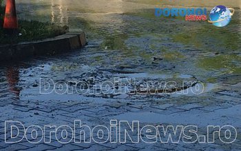 Bulevardul Victoriei din Dorohoi invadat …