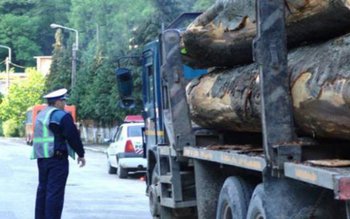 Material lemnos confiscat și amendă …