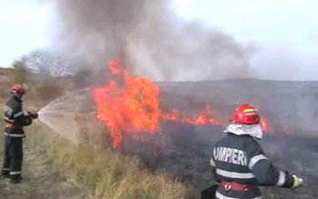 Verdict în cazul incendiului de …