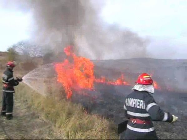 Verdict în cazul incendiului de la Viișoara în care au fost mistuite de flăcări 30 hectare de stufăriș și fâneață