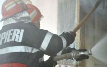 Tone de furaje distruse intenționat …