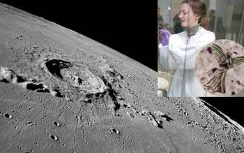 Un înger a stat pe …