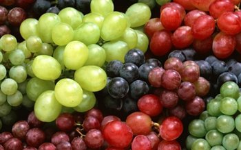 Cura cu struguri şi must …