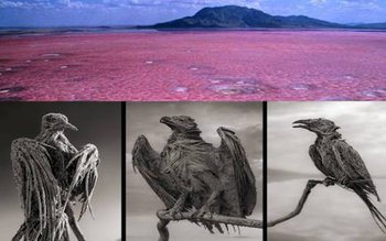 Lacul morții: Apa care transformă …