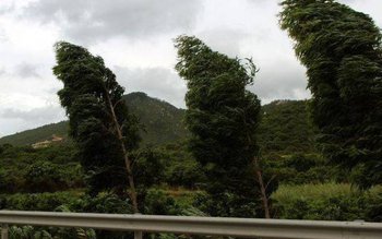 Cod portocaliu de fenomene meteo …