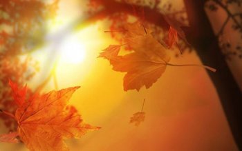 A venit toamna! Schimbări majore …