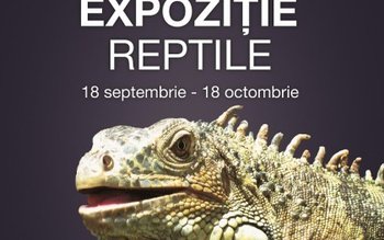 Expoziție de reptile vii la …