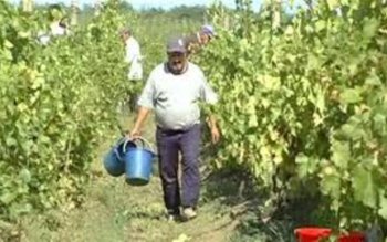 Sute de şomeri dintr-o comună …