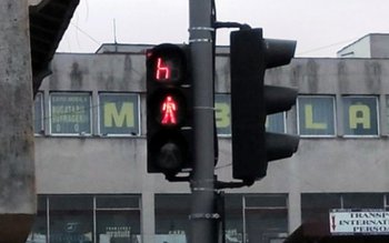 De tot râsul. Cum a …