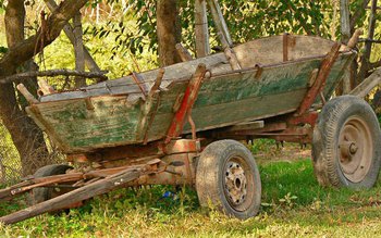 Accident provocat din neatenție! A …