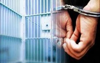 Patron al unui lanţ de …