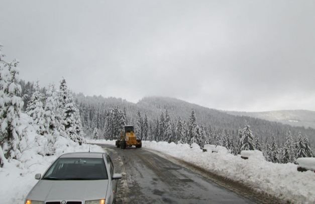 A căzut prima ninsoare din această toamnă. Stratul de zăpadă a atins 3 centimetri