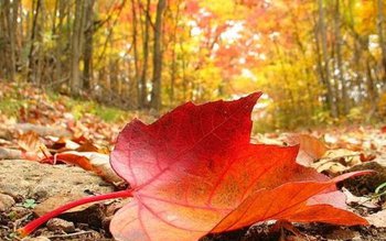 Vremea se schimbă. La ce …