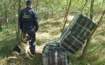 Ţigări de contrabandă de peste …