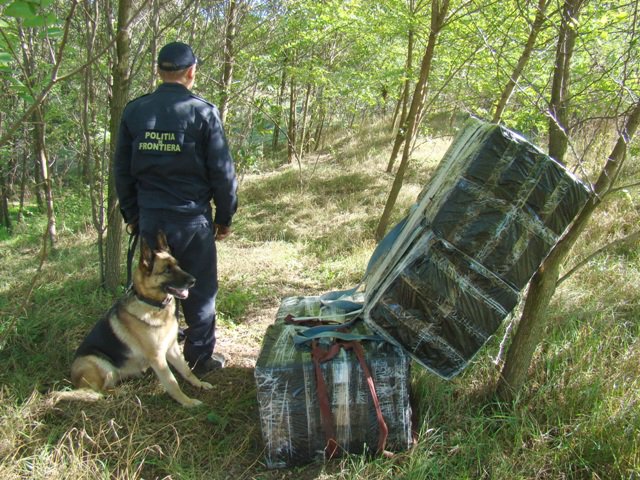 Ţigări de contrabandă de peste 48.000 de lei confiscate la frontiera de est - FOTO