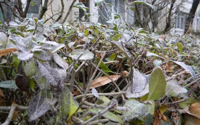 Vremea schimbă foaia. Vine un val de aer polar