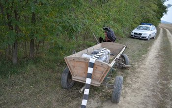 Ţigarete de contrabandă trecute cu …