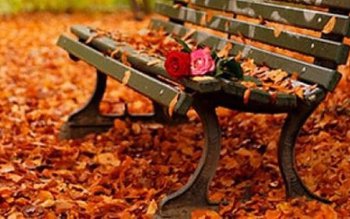 Prognoza meteo pe următoarele două …