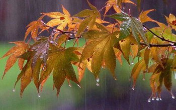 Vremea extremelor. Surprize uriaşe de …