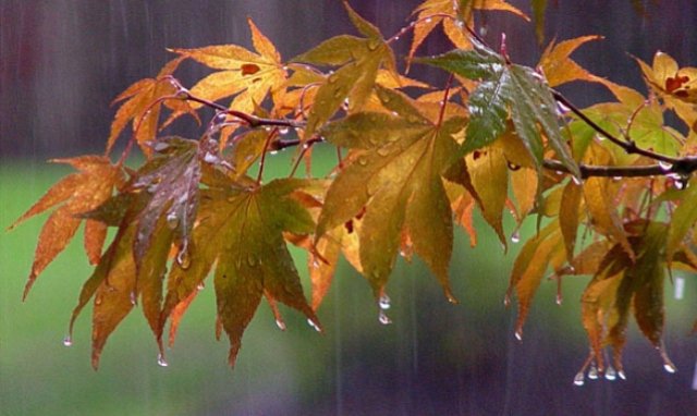 Vremea extremelor. Surprize uriaşe de la meteo: de marţi, începe! Prognoza pe trei zile