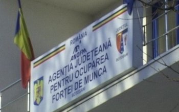 Peste 500 de locuri de …