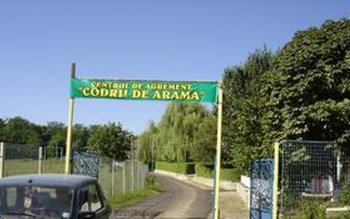 Direcția pentru Sport și Tineret …