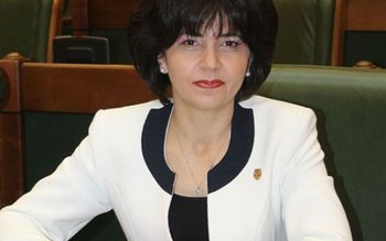 Senatorul Doina Federovici: TVA la …