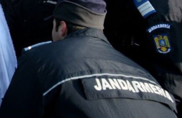 Material lemnos confiscat de jandarmii botoșăneni, în urma unui control 