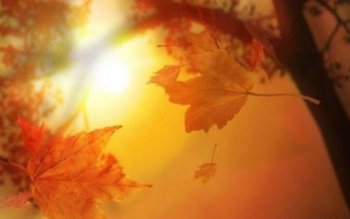 Vor fi condiţii de ceaţă …