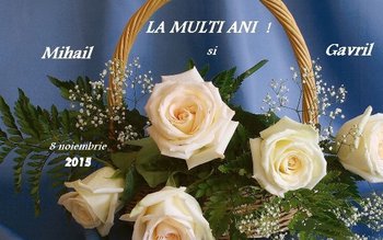 Urări ce pot fi trimise …