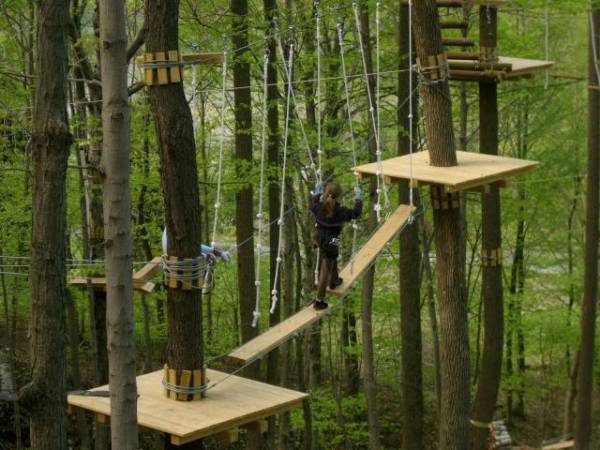 Parc de aventură la Botoșani. Vezi unde va fi amenajat!