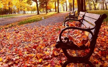 Prognoza meteo de weekend. Vremea …