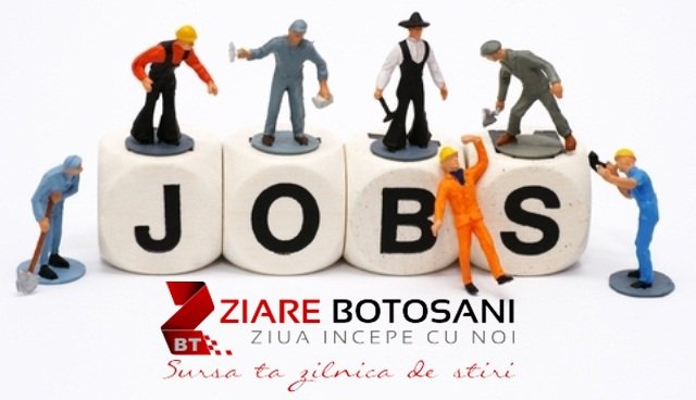 Peste 550 de locuri de muncă vacante în această săptămână, în judeţul Botoşani