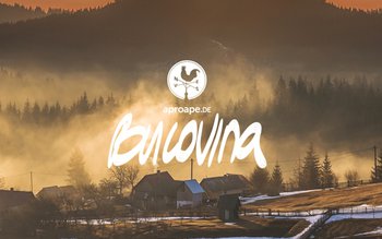 Comunicat de presă: Albumul de …