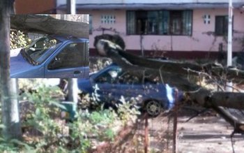 Atenţie unde parcaţi: O maşină …