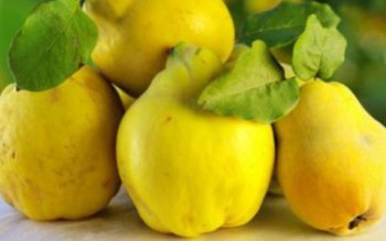 Leacuri naturale cu gutui: vindecă …