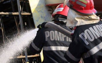 Aproximativ 35 tone de furaje …