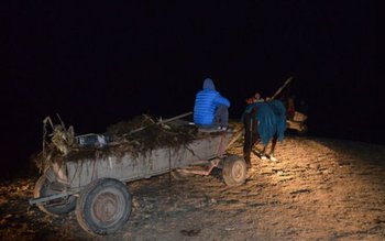 Țigarete de contrabandă, ascunse într-un …