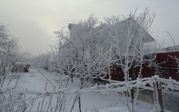 Ninsori şi oameni morţi din …
