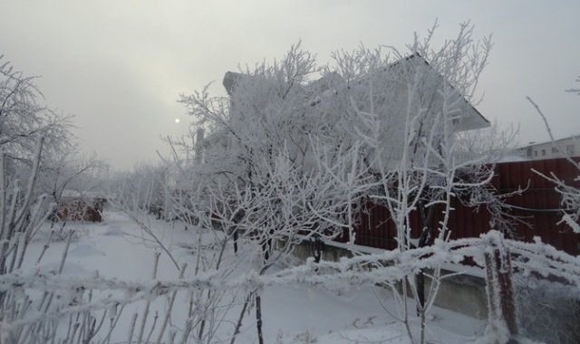 Ninsori şi oameni morţi din cauza frigului. Zăpezi şi temperaturi de -9 grade Celsius