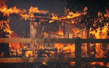 Avere distrusă de un coş …