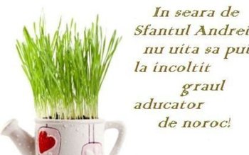 Obiceiuri de Sfântul Andrei. Când …