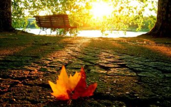 De astăzi se încălzește vremea …